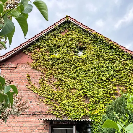 Jana By Interhome Ferienhaus Buchholz (Mecklenburg-Vorpommern)